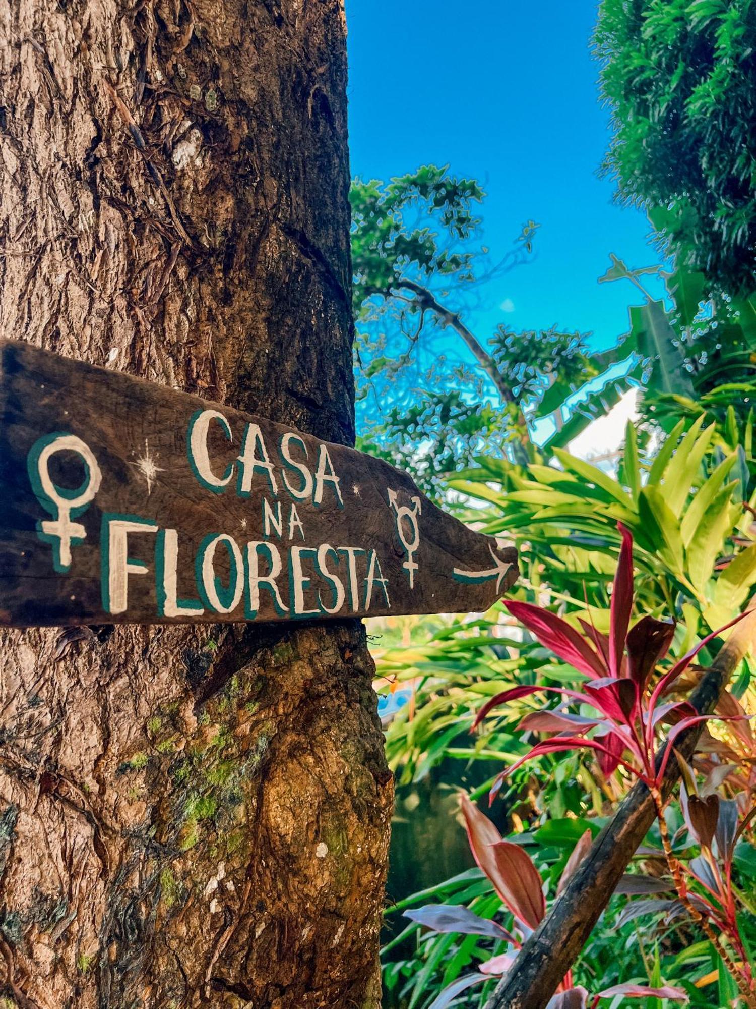 Hostel Zen - Casa Na Floresta Itacaré Esterno foto