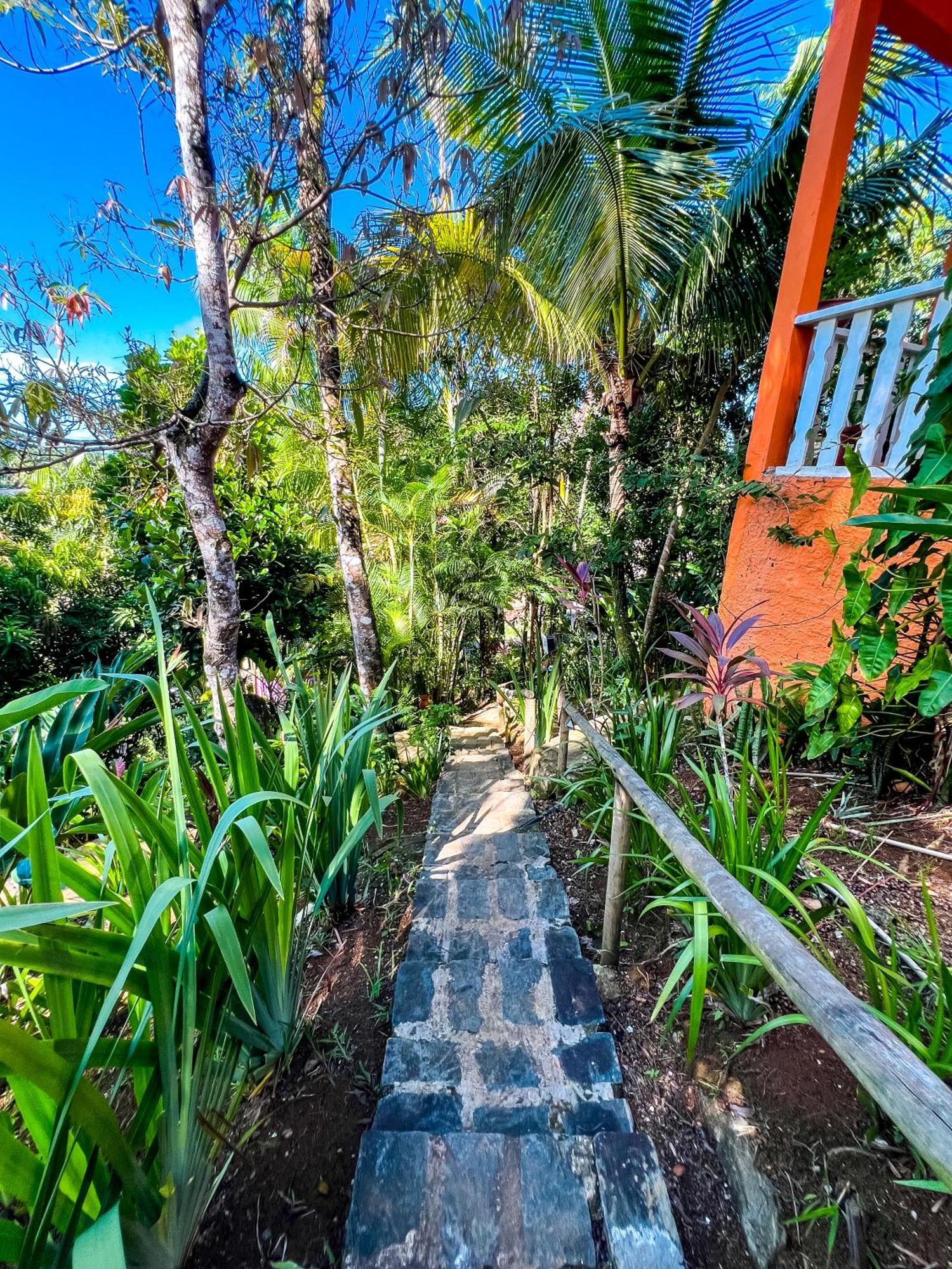 Hostel Zen - Casa Na Floresta Itacaré Esterno foto