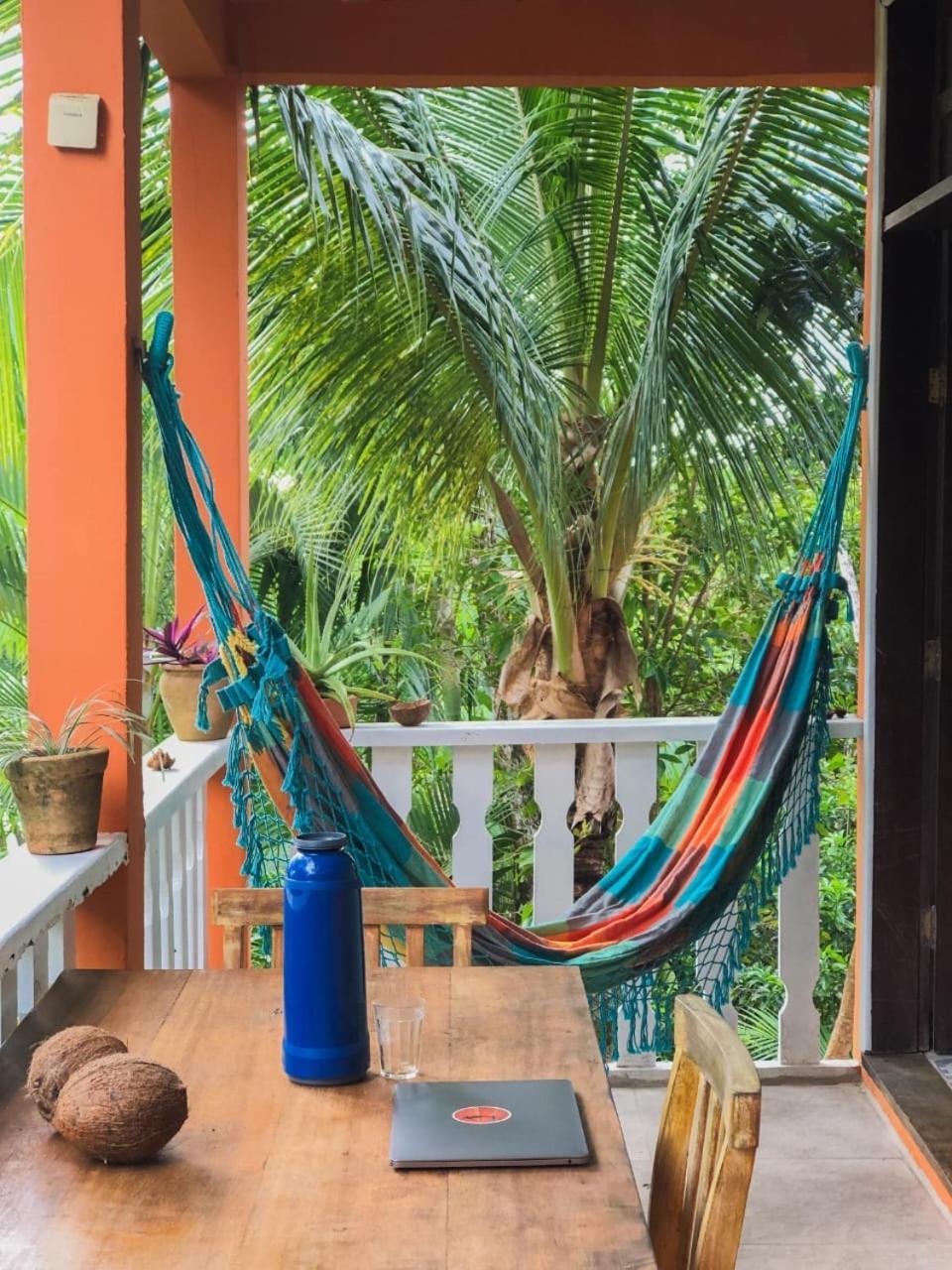 Hostel Zen - Casa Na Floresta Itacaré Esterno foto