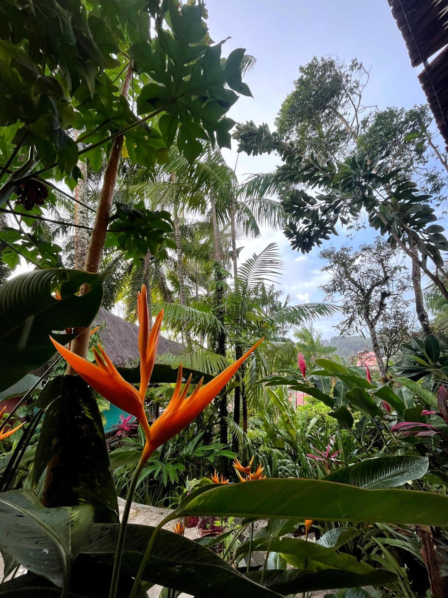 Hostel Zen - Casa Na Floresta Itacaré Esterno foto